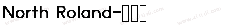 North Roland字体转换